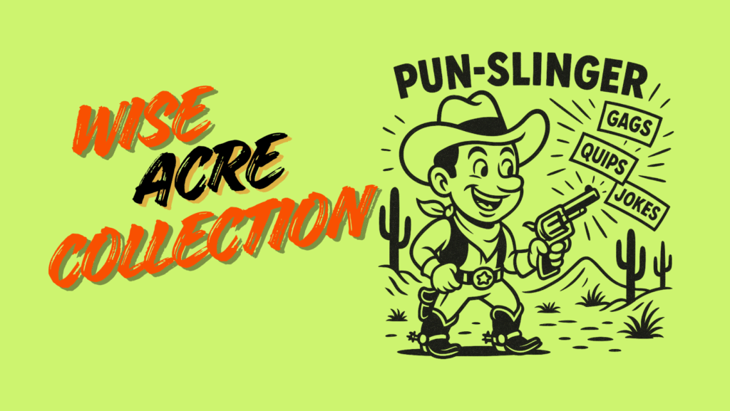 wiseacre cover wiseacre cover