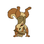 Chipper doing a handstand.