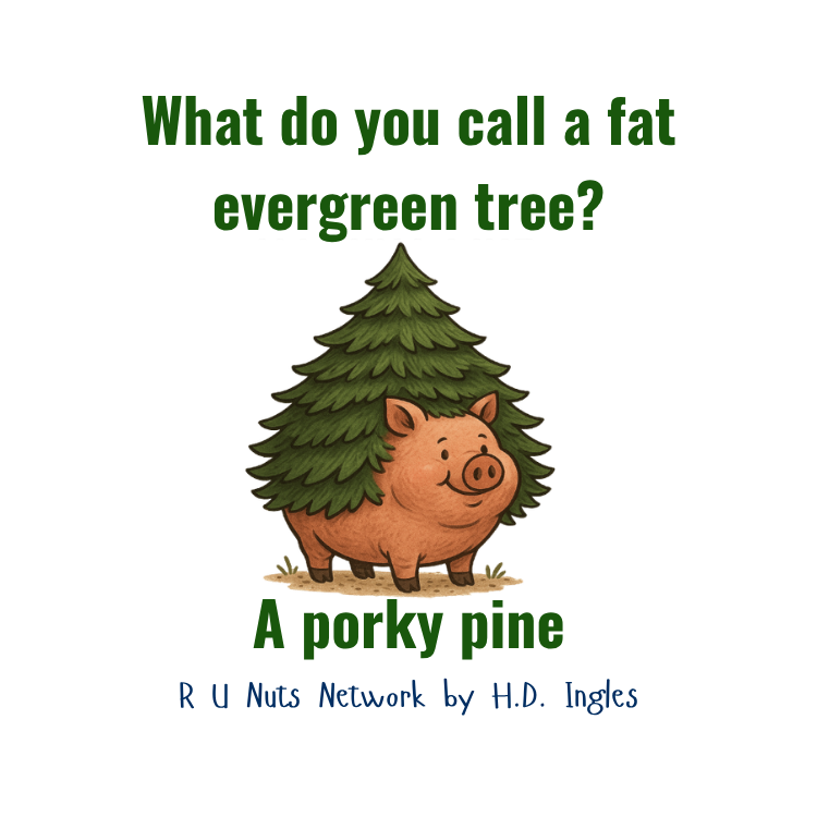 What do you call a fat evergreen tree? A porky pine.